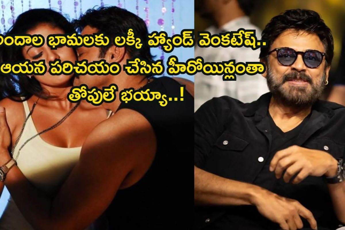 Daggubati Venkatesh: వెంకటేష్ పరిచయం చేసిన హీరోయిన్లంతా తోపులే మావా.. లిస్ట్‌లో ఒక్కో పేరు చూస్తుంటే మతిపోతోంది