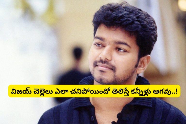 Thalapathi Vijay: దళపతి విజయ్‌కు సొంత చెల్లి ఉందన్న విషయం మీకు తెలుసా?.. ఆమె చావు గురించి తెలిస్తే కన్నీళ్ళు ఆగవు